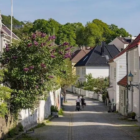 Nydelig Townhouse Sentralt I Bergen, Sandviken